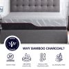 Bridgevine Home 11 inch Flex Head Queen Size 3-Layer Latex Foam Adult Mattress