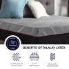 Bridgevine Home 11 inch Flex Head King Size 3-Layer Latex Foam Adult Mattress