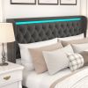 King Platform Bed Frame With High headboard, Velvet Upholstered Bed with Deep Tufted Buttons, Adjustable Colorful LED Light Decorative Headboard, Wide